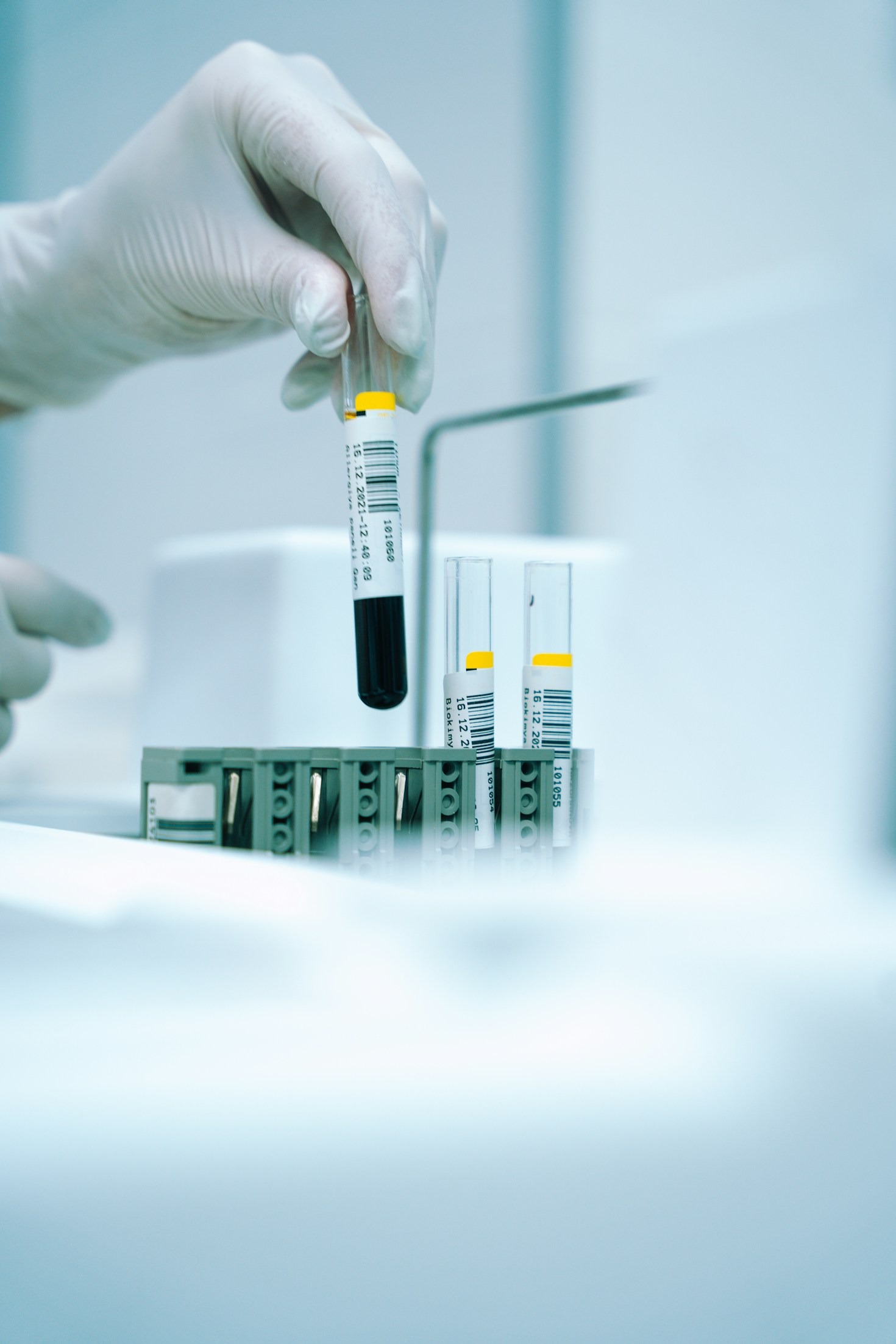 Challenges and Opportunities in Biotech Development